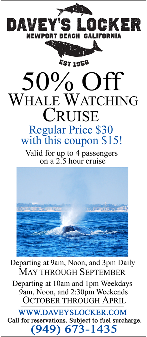 Davey's Locker Flyer with 50% OFF Coupon Whale Watching Cruise