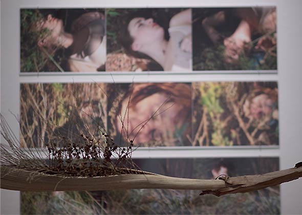 A series of photos of women and girls lying in the wood on display, accent with real tree branches as decor.